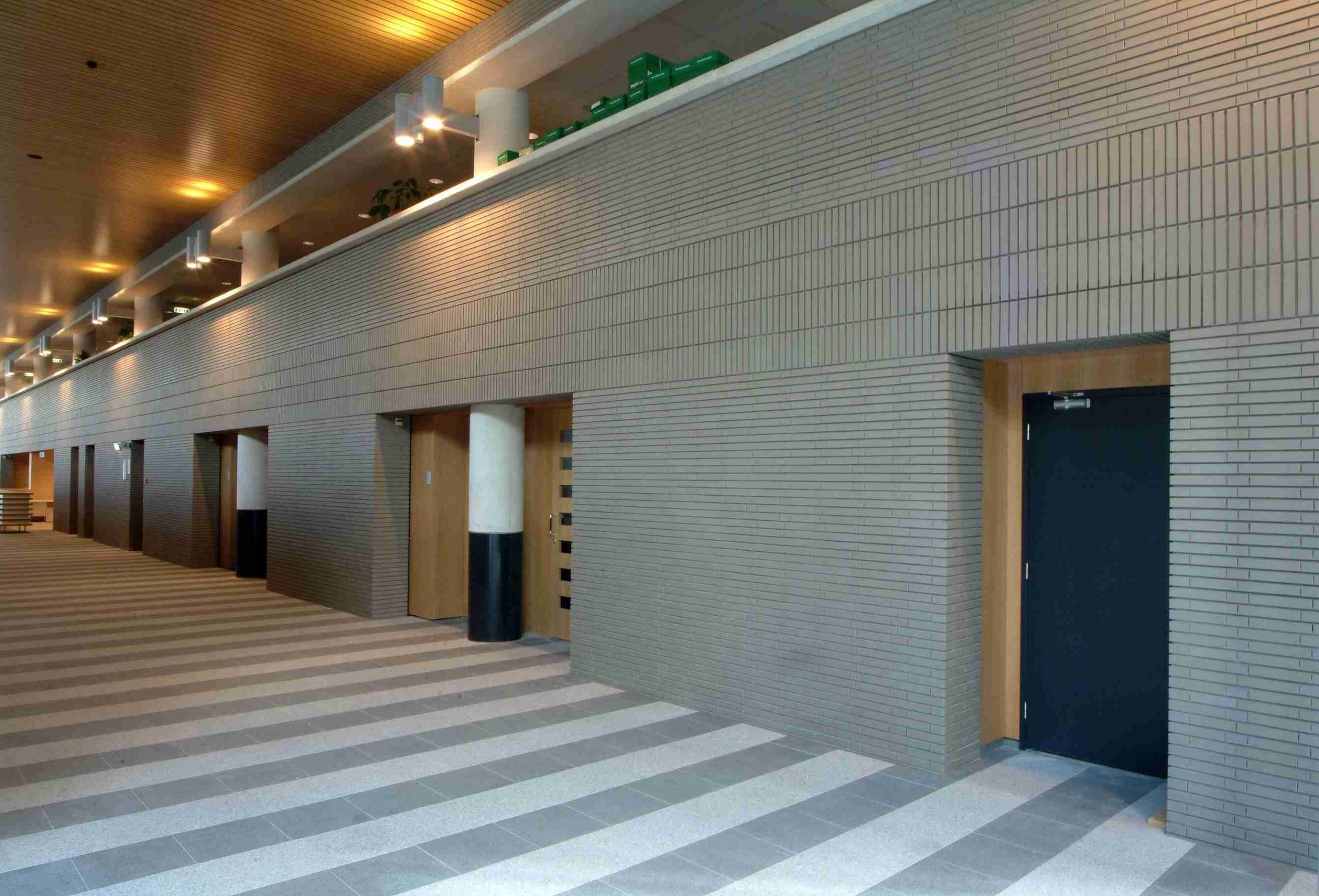 Faro grijs gen en Oslo Parelwit HF Tilburg universiteit prof (20)_17_11zon